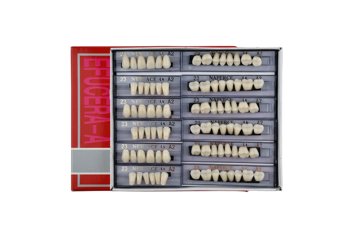 Efucera-A Denture Teeth