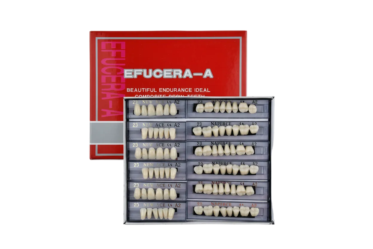 Efucera-A Denture Teeth