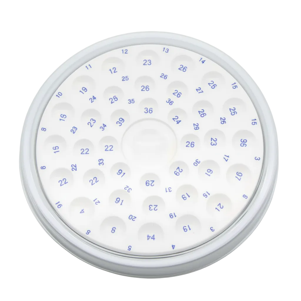 Ceramic Porcelain Plate