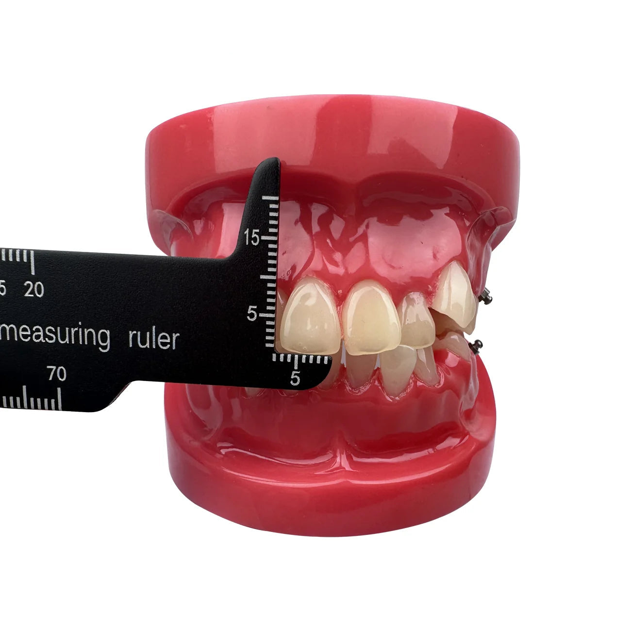 Dental Precision Measuring Ruler