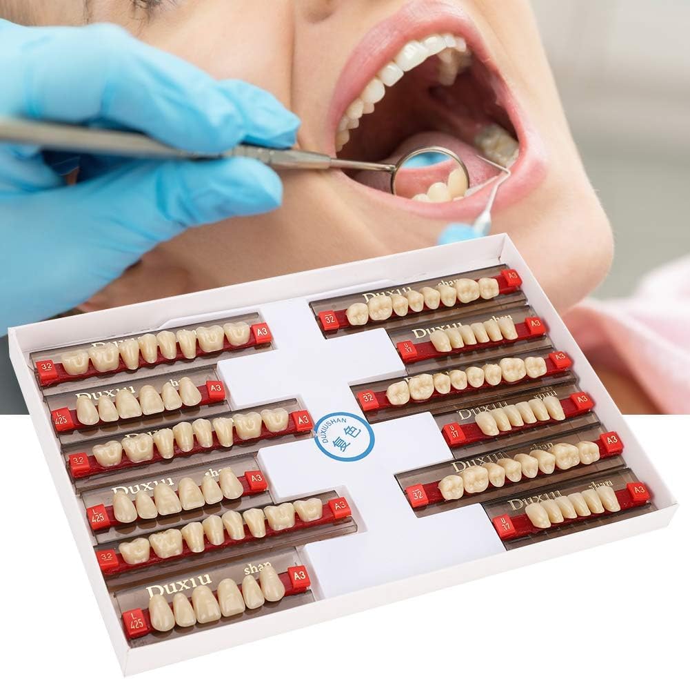 Duxiu Denture Teeth