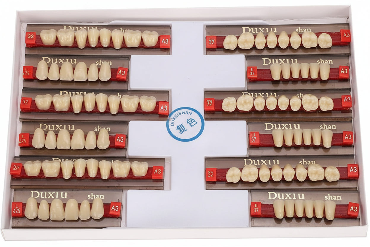 Duxiu Denture Teeth