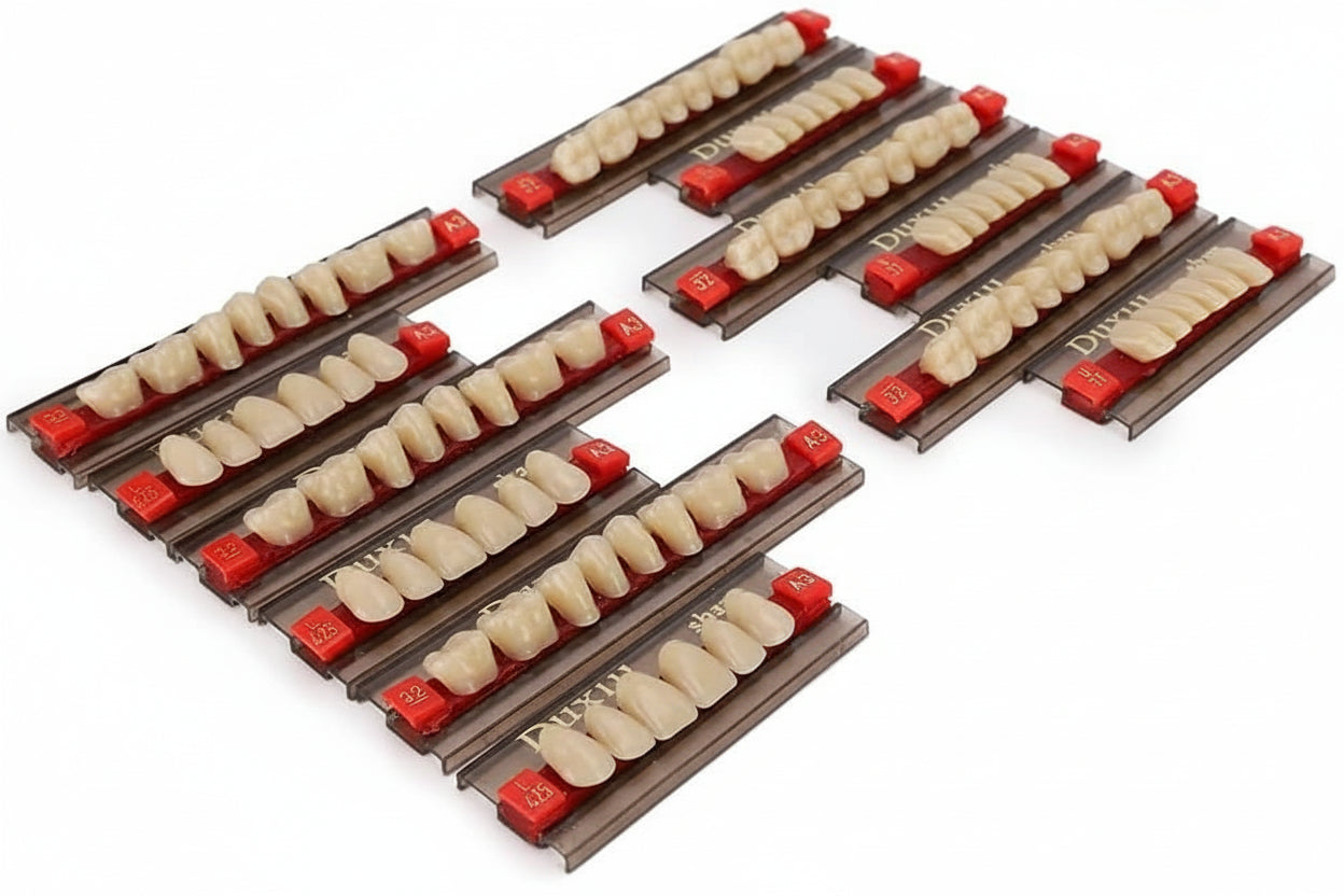 Duxiu Denture Teeth