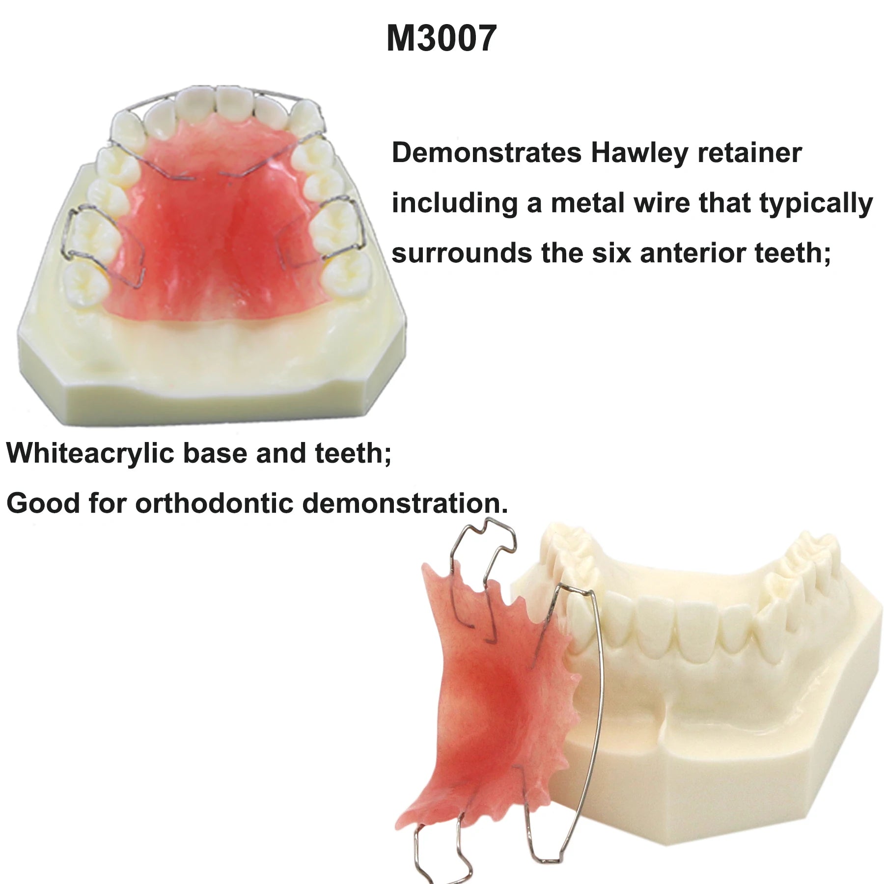Planets Dental Implant Practice Models
