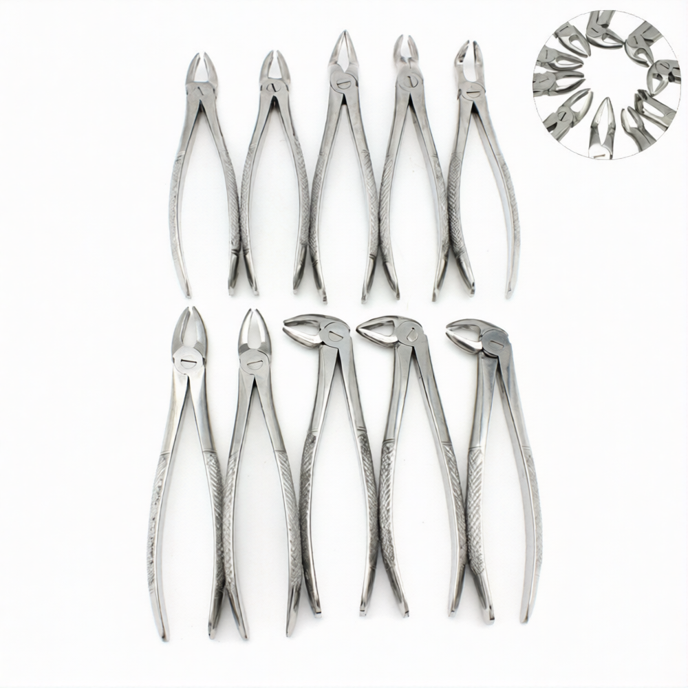 10-Piece Dental Extraction Forceps Kit
