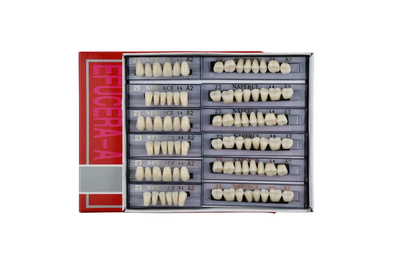 Efucera-A Denture Teeth