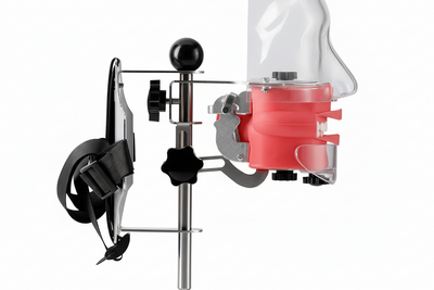 Dental Simulator Phantom Head