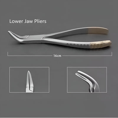 Root Extraction Forceps Set