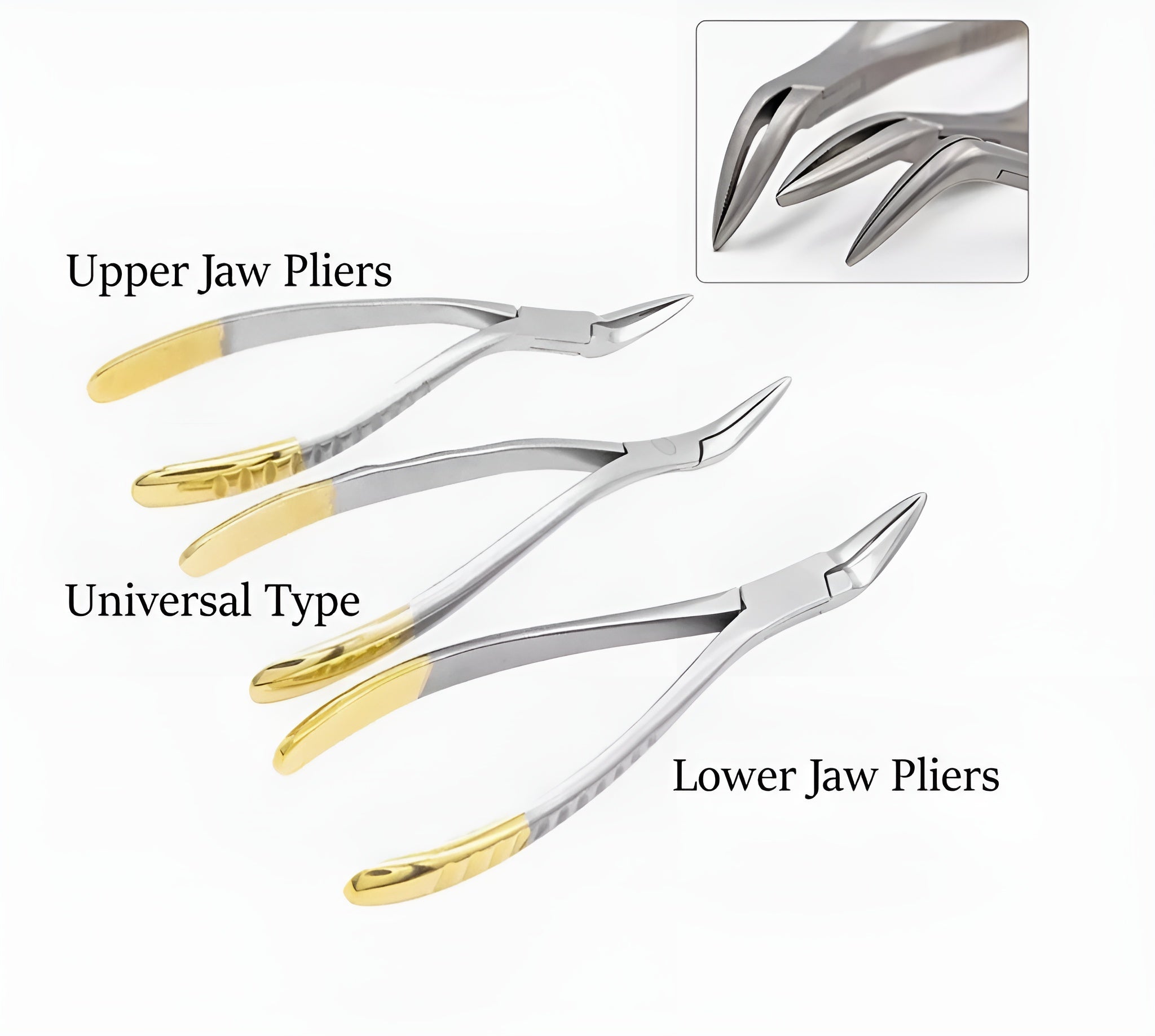 Root Extraction Forceps Set