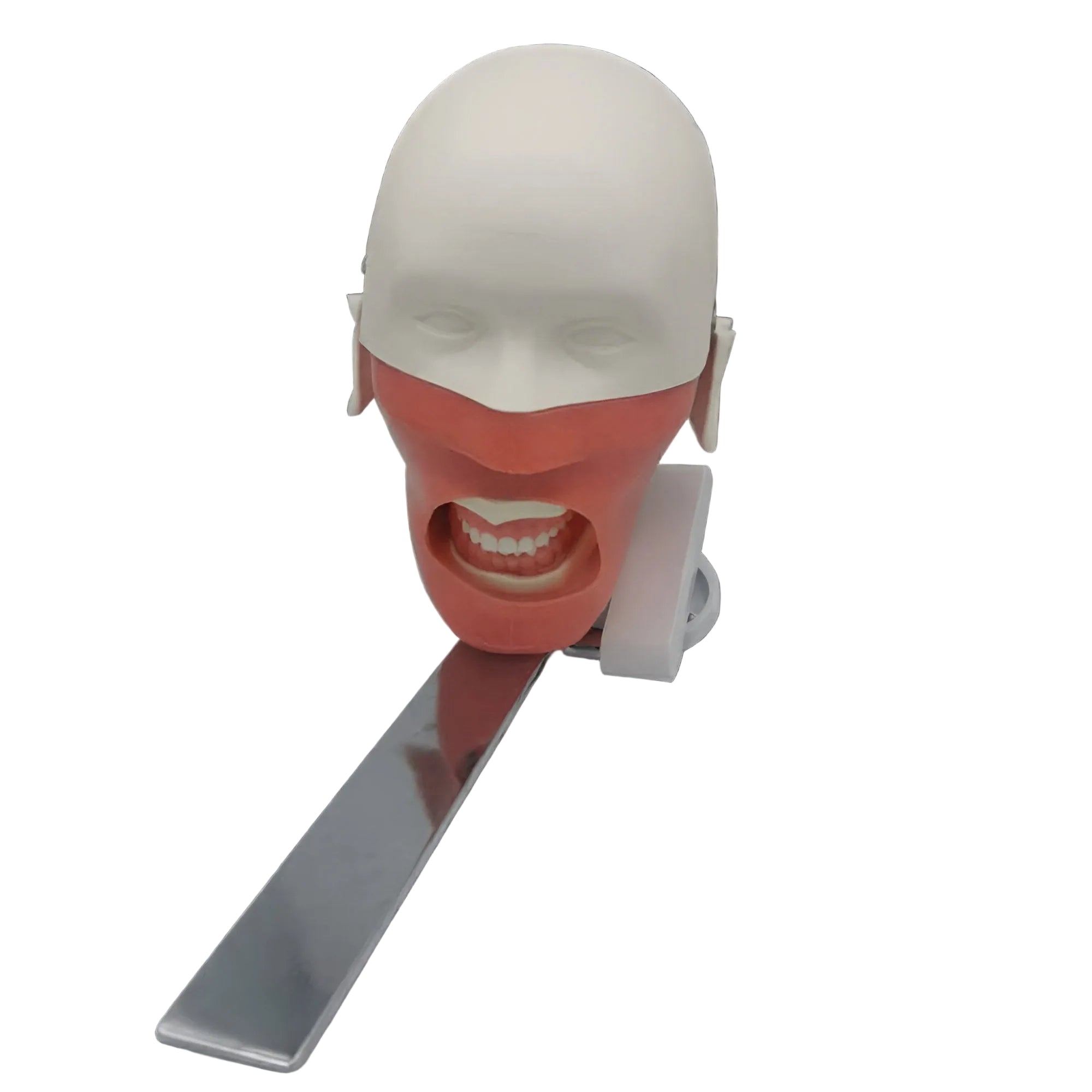 Dental Phantom Head Clinical Training Simulator