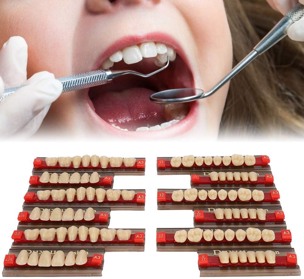 Duxiu Denture Teeth