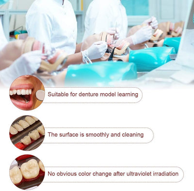 Duxiu Denture Teeth