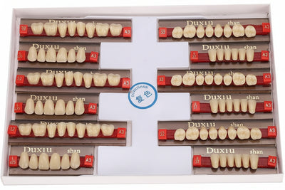 Duxiu Denture Teeth