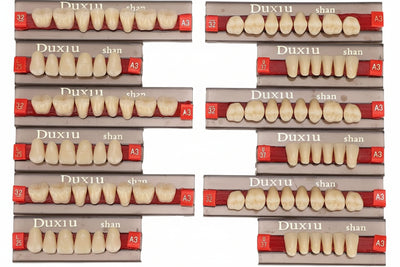Duxiu Denture Teeth