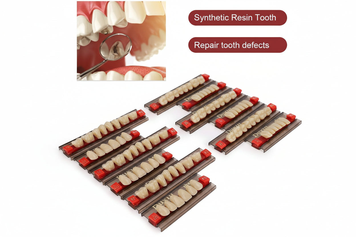 Duxiu Denture Teeth