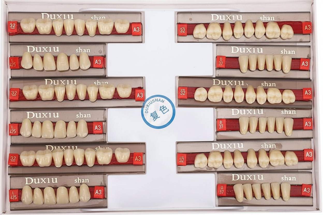 Duxiu Denture Teeth