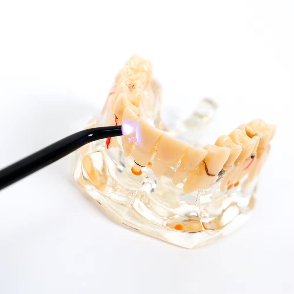 Smart Dual-UV Dental Flashlight (395–400 nm)