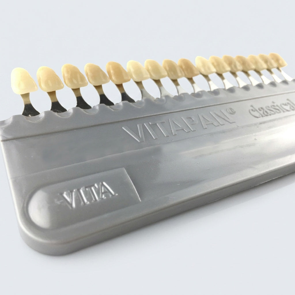 VITA classical A1–D4 Farbring – 16 Zahnfarben für die Farbbestimmung in Füllungstherapie und Prothetik