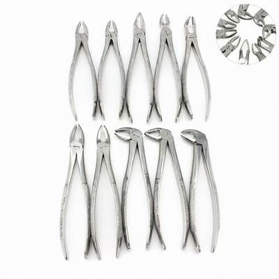 10-Piece Dental Extraction Forceps Kit